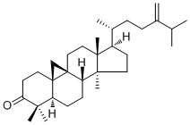24-Methylenecycloartanone