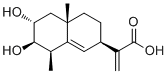 2α,3β-Dihydroxypterodontic acid