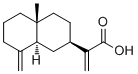 β-Costic acid