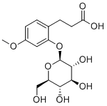 3-(2-Glucosyloxy-4-methoxyphenyl)propanoic acid